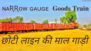 Rarely Seen Narrow Gauges Goods Train Departing from Nainpur Junction [upl. by Hackathorn728]