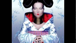 Björk  All Neon Like  Homogenic [upl. by Bellda]