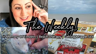 WEEKLY VLOG  IN MEMORY OF EINSTEIN  BEACH THERAPY  GETTING MUGGLE SICK [upl. by Derwood]