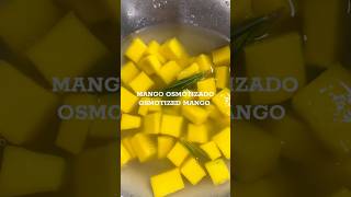 The Osmosis Technique Using Mango to Teach Science [upl. by Gamali]