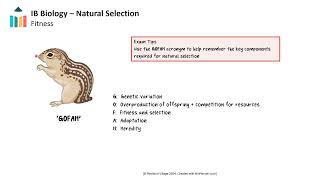 Natural Selection IB Biology SLHL [upl. by Farleigh933]