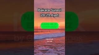 Bakara Suresi 2829Ayet bismillahirrahmanirrahim allah islam islamic islamicvideo quran [upl. by Flip]