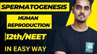 Spermatogenesis  Human Reproduction  Learn Everything About Human Testes in Easy Way [upl. by Neerehs810]