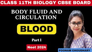 Blood and its Components Plasma  Body fluid and circulation  Class 11  Neet 2024 [upl. by Larentia]