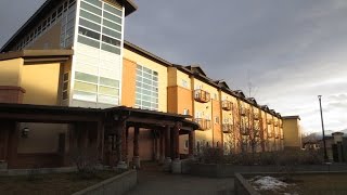 Elmendorf AFB JBER Dorm Tour [upl. by Berke]