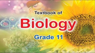 26 BIOLOGICAL MOLECULES PART 6 II 11TH CLASS FEDERAL BOARD [upl. by Llebana891]