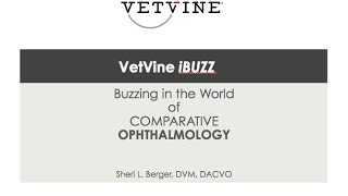 VetVine iBuzz  Malassezia spp on the Periocular Skin of Dogs [upl. by Schoof]