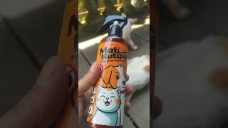 Obat kutu kucing  kucing kutuan [upl. by Anauqahs11]