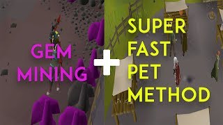 Road To All Pets  Testing Out Gem Mining  Fastest Rocky Pet Method [upl. by Erdnaxela]