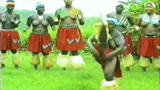 South Africa Zululand Zulu dancing [upl. by Uke]