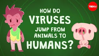 How do viruses jump from animals to humans  Ben Longdon [upl. by Melesa774]