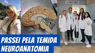 COMO FOI MEU SEGUNDO PERÍODO DE MEDICINA NA FEDERAL🩺 Desabafo Neuroanatomia Disciplinas Med UFJF [upl. by Yetti]