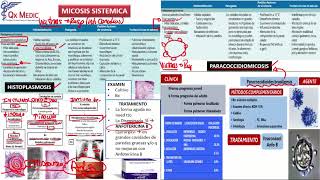 3 MICOSIS SISTEMICA Y OPORTUNISTA [upl. by Onafets73]