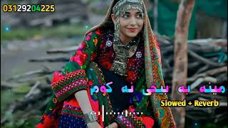 Nosherwan pashto song 20232024 نو شیروان پشتو نیو سوٹ100k fowlers [upl. by Aztiraj]