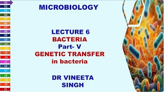 Unlocking Bacterial Secrets Conjugation Transformation and Transduction [upl. by Maitund]