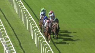 2014 St Jamess Palace Stakes  Royal Ascot  Kingman  Racing TV [upl. by Adnamal]