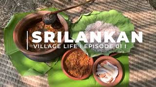 SriLankan Village Life [upl. by Araid]