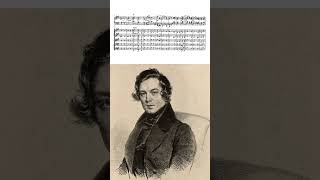 Schumann Piano Concerto in A Minor mov3 [upl. by Norah177]