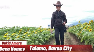 Bukid Amara Deca homes TalomoDavao City travelvlog adventure lakwatcheronghilaw [upl. by Namolos]