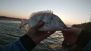 River Bream fishing at Lugs [upl. by Aztiram427]