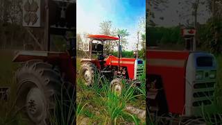 Trending shots reels farmingMassey 7250vairalshotsvideo [upl. by Worra]