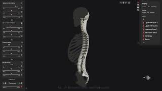 Biomechanics of the Spine Trailer [upl. by Laucsap]