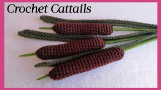 Crochet Cattails Plant or Typha Latifolia [upl. by Nore224]