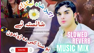 pashto new slowed and reverb songsakbar shah Nikzaad [upl. by Elaynad]