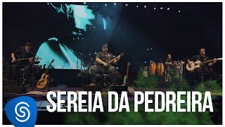 Raimundos  Sereia da Pedreira DVD Acústico Vídeo Oficial [upl. by Hacker]