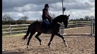 Training the collected trot and pirouettes 🙌🏽 [upl. by Giulietta]