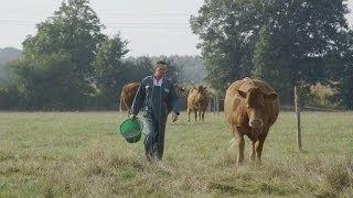 Interview Métiers  Frédéric éleveur de bovins [upl. by Stempson853]