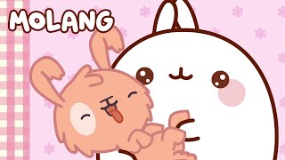 The Puppy 🐶 MOLANG and Piu Piu  Funny Cartoons for Kids  Compilation [upl. by Cristiona]