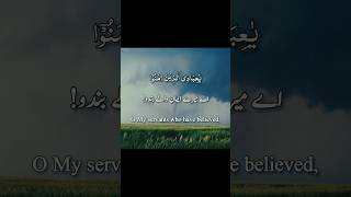 kullu nafsin zaikatul maut  By Abdul Rahman Mossad  quran shorts [upl. by Anilocin853]