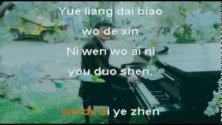 月亮代表我的心  Ánh trăng nói hộ lòng tôi KARAOKE [upl. by Joela]