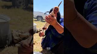 Traditional Bakhtiari Nomads Gathering villagelife cooking nature food [upl. by Asta]