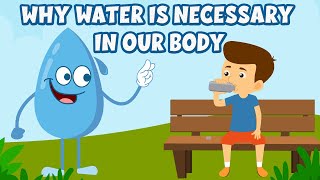 Why water is necessary in our body  Why do we drink water  Importance of water  Video for kids [upl. by Malory]