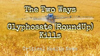 Pharmacist Ben Fuchs The Two Ways Glyphosate Kills [upl. by Nicholson886]