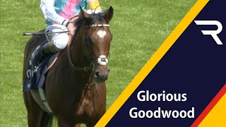 FRANKEL makes the 2012 Sussex Stakes a onehorse race  Glorious Goodwood  Racing TV [upl. by Ddene21]