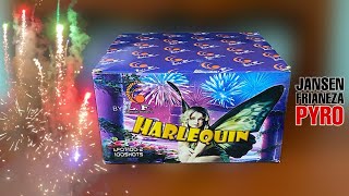 Harlequin 100 shots by Leegendary Fireworks  Christmas Eve Philippines December 24 2023 [upl. by Shira]