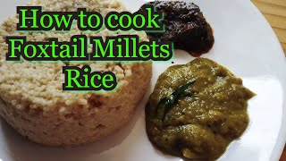 How to cook కొర్రలు rice  how to cook Foxtail Millet Rice  Korralu Rice in Telugu  Millet Recipes [upl. by Watson]