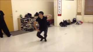 Xing Yi Quan Xingyi 17Posture Routine 河北形意十七式） [upl. by Geoffrey]