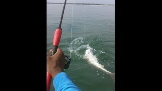 Kayak Fishing at the Murrells Inlet SC Jetties [upl. by Noislla491]