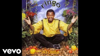 Ringo Madlingozi  Mkhululeni Official Audio [upl. by Eno756]