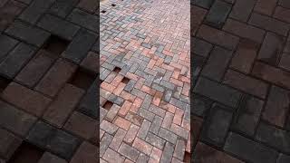 Brindle 50mm pavers like subscribe [upl. by Hsetih]