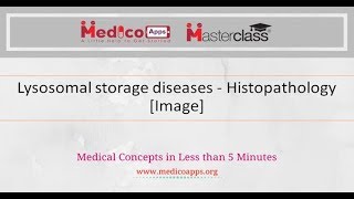 Lysosomal Storage Diseases – Histopathology Image [upl. by Ahtoelc653]