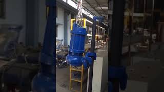 Demo installation of sewage pump on Autocoupling system [upl. by Ahsinel]