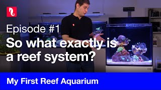 My First Reef Aquarium episode 1  What exactly is a reef system [upl. by Basile]