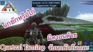 ARK Mobile มือถือ EP36 จับนกยักษ์กันเถอะ Quetzal Taming [upl. by Dimmick253]