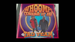 Tag Team  Whoomp There It Is  Full Album [upl. by Einnos]