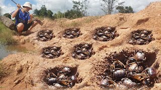 Wow amazing fishing a fisherman dig a lots of crabs from the hole send water at forest [upl. by Alduino]